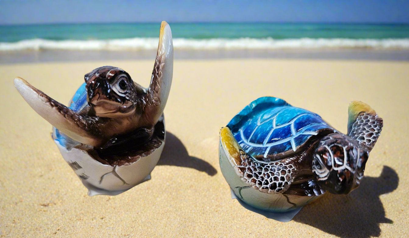 Turtle Hatching