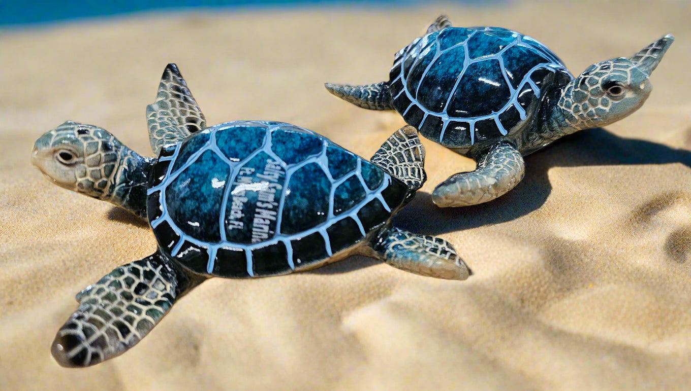 Turtle 4"