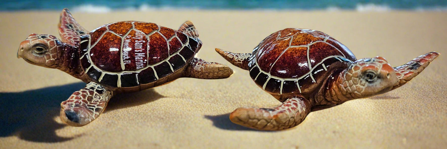 Turtle 4"
