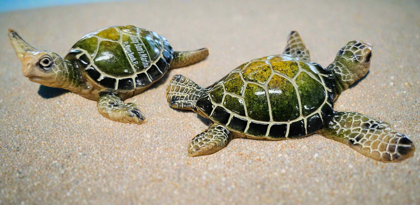Turtle 4"