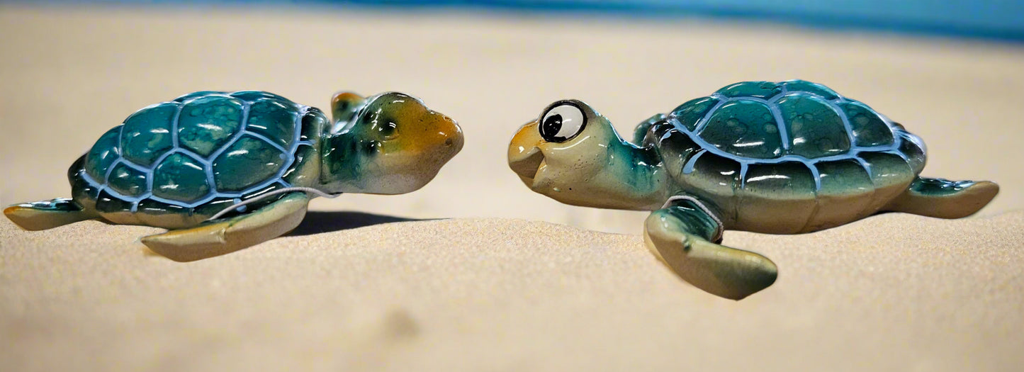 Turtle Magnets