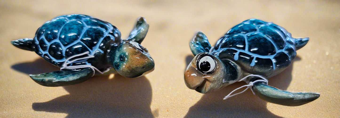 Turtle Magnets