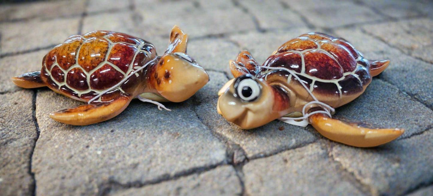Turtle Magnets