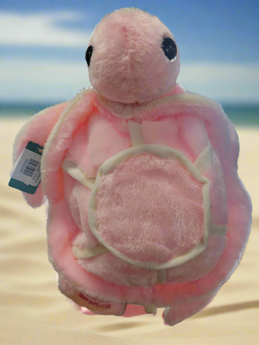 Turtle Backpack