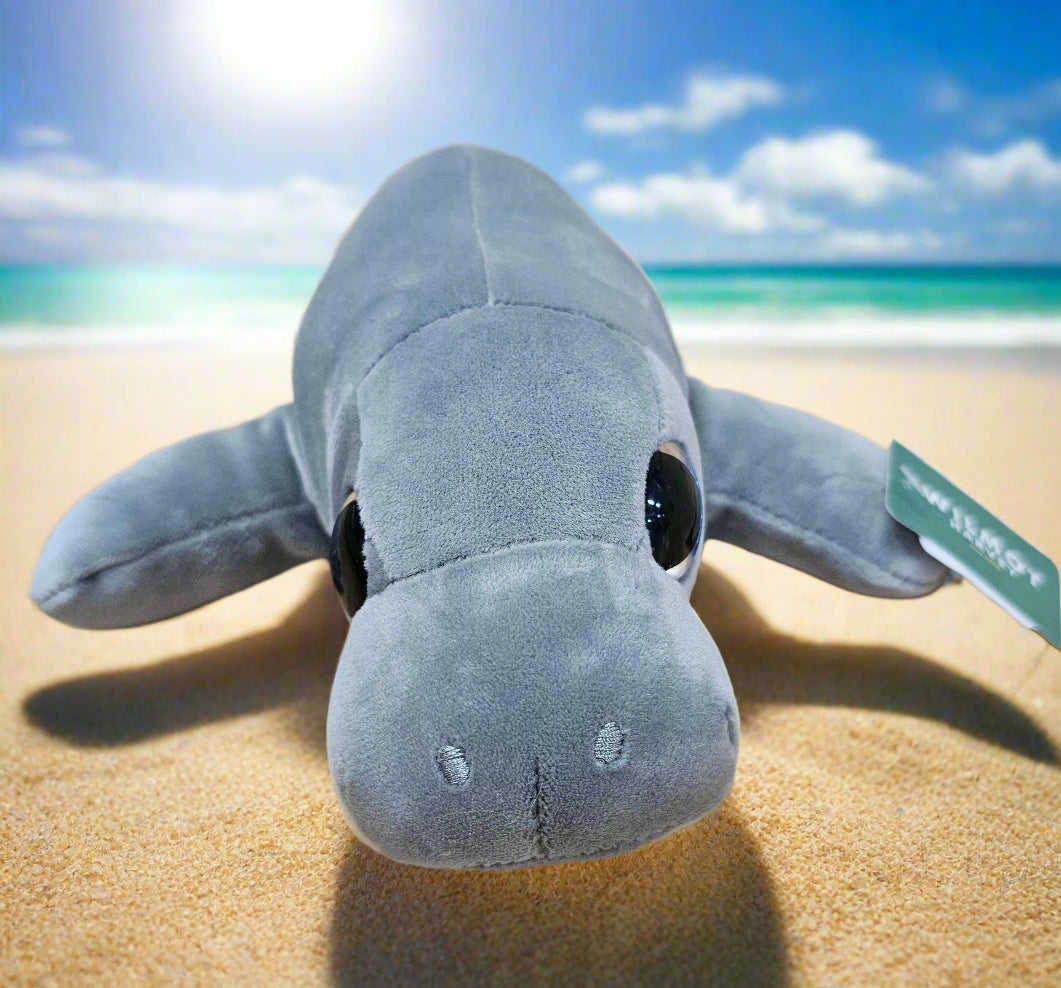 Big Eyed Manatee