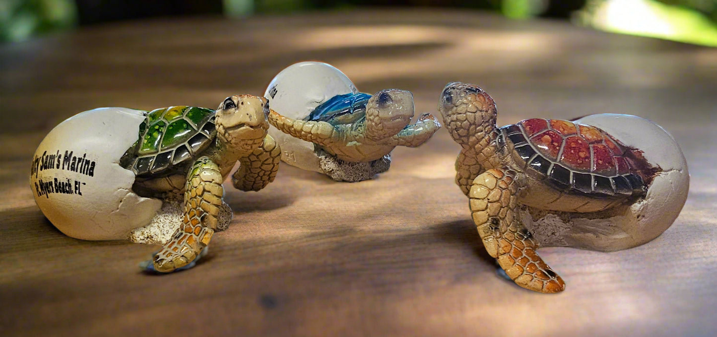 Turtle Hatching