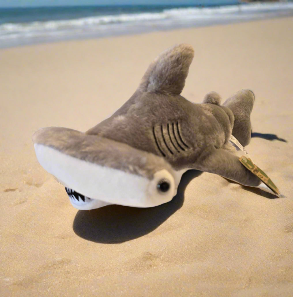20" Hammerhead Shark