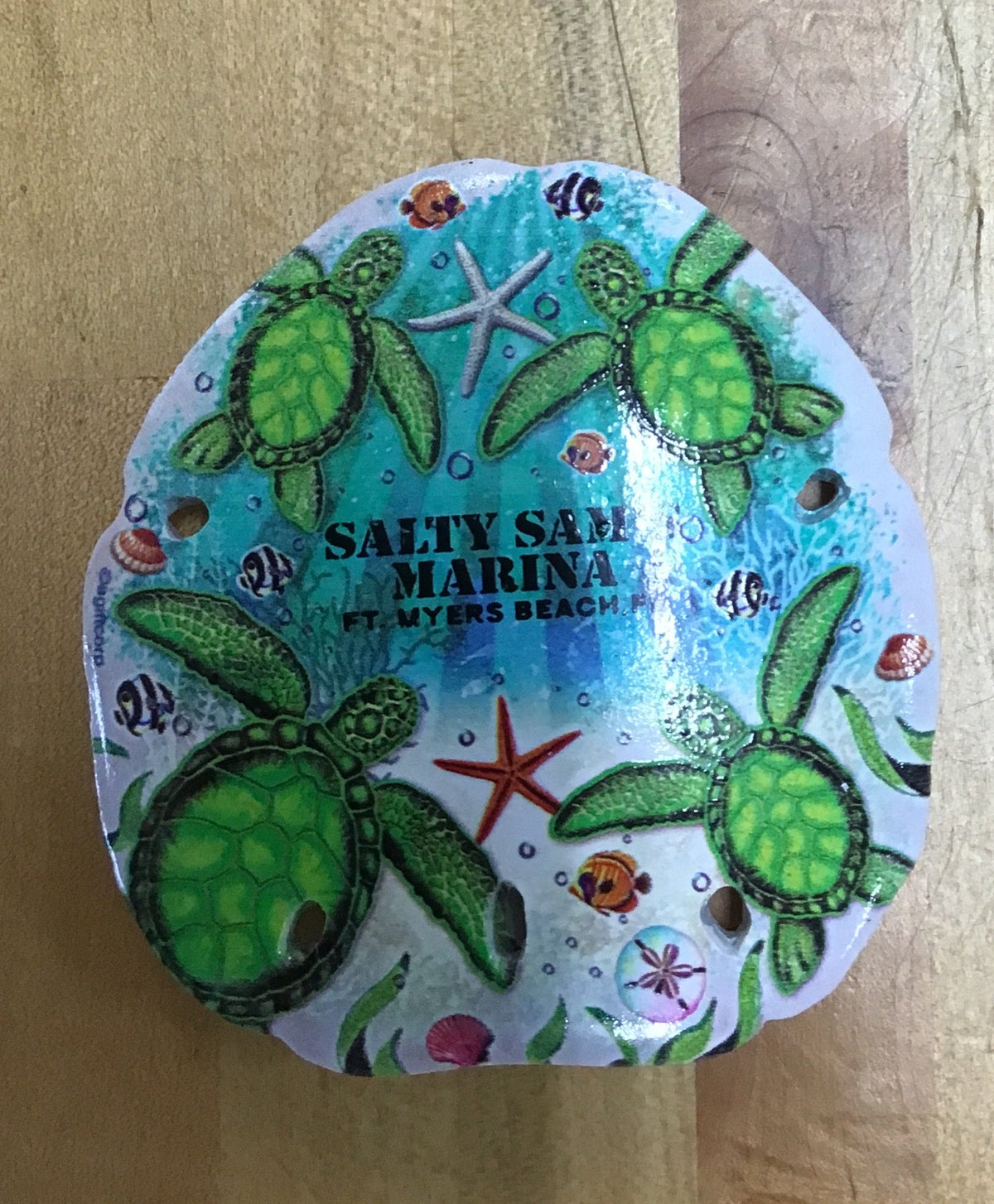 TURTLES 3" SANDOLLAR/MAG