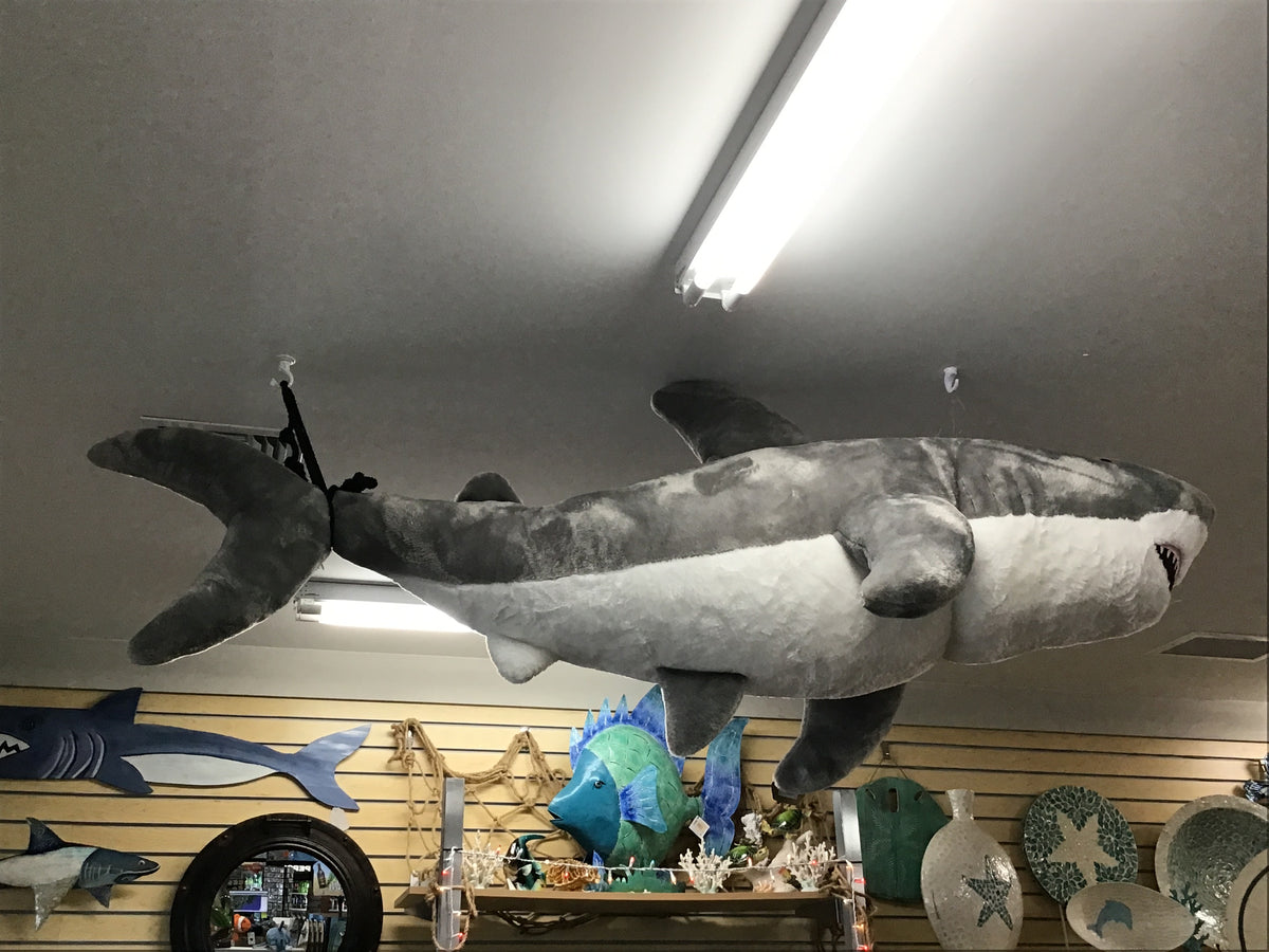 6' Great white Shark