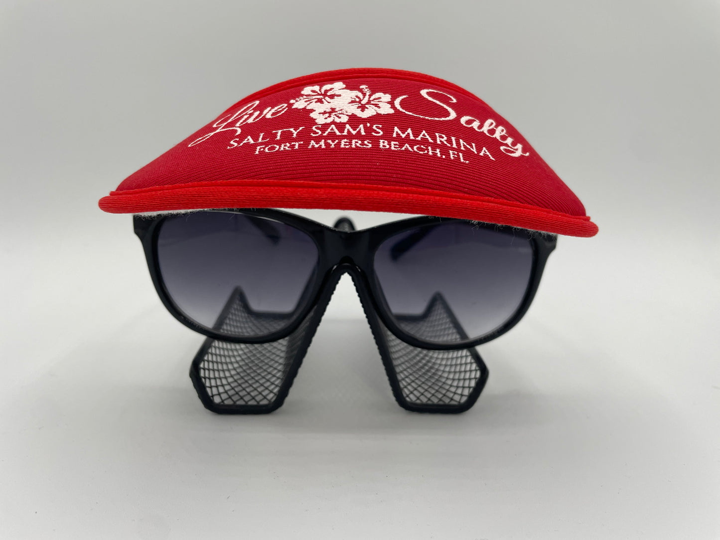 Eyeglass Visor
