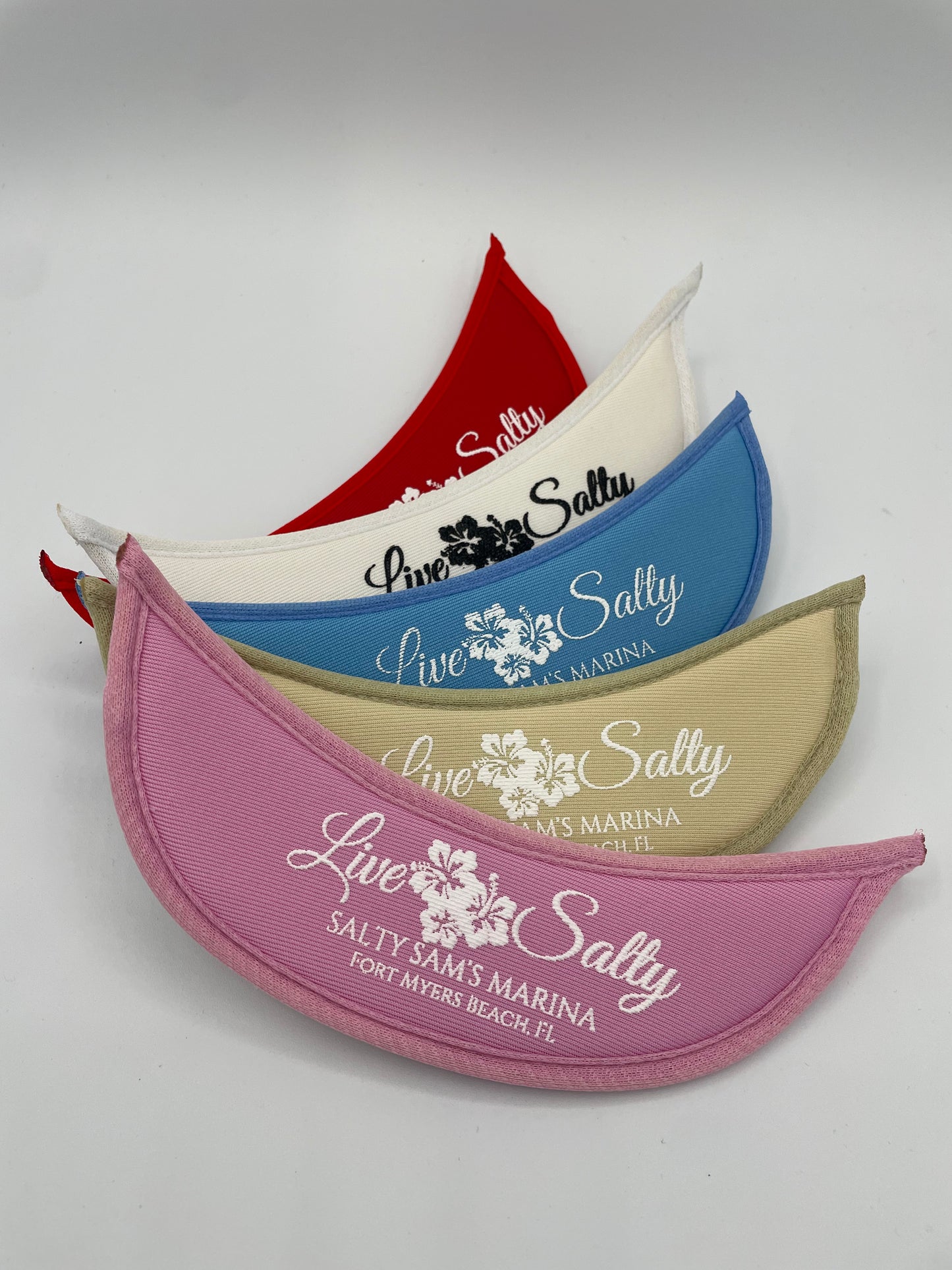 Eyeglass Visor