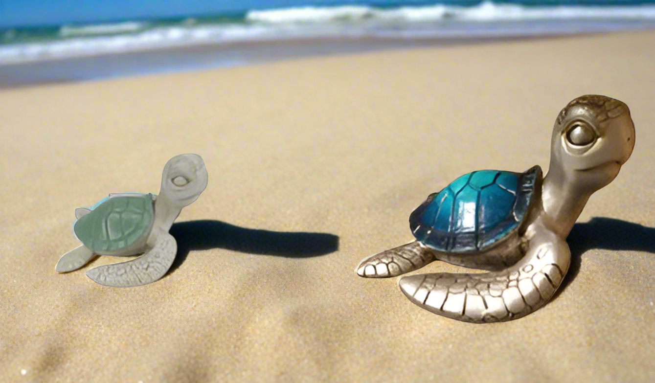 Whimsy Turtle