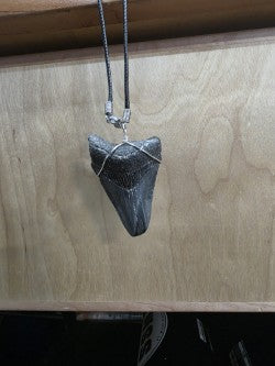 Meg Tooth Necklace