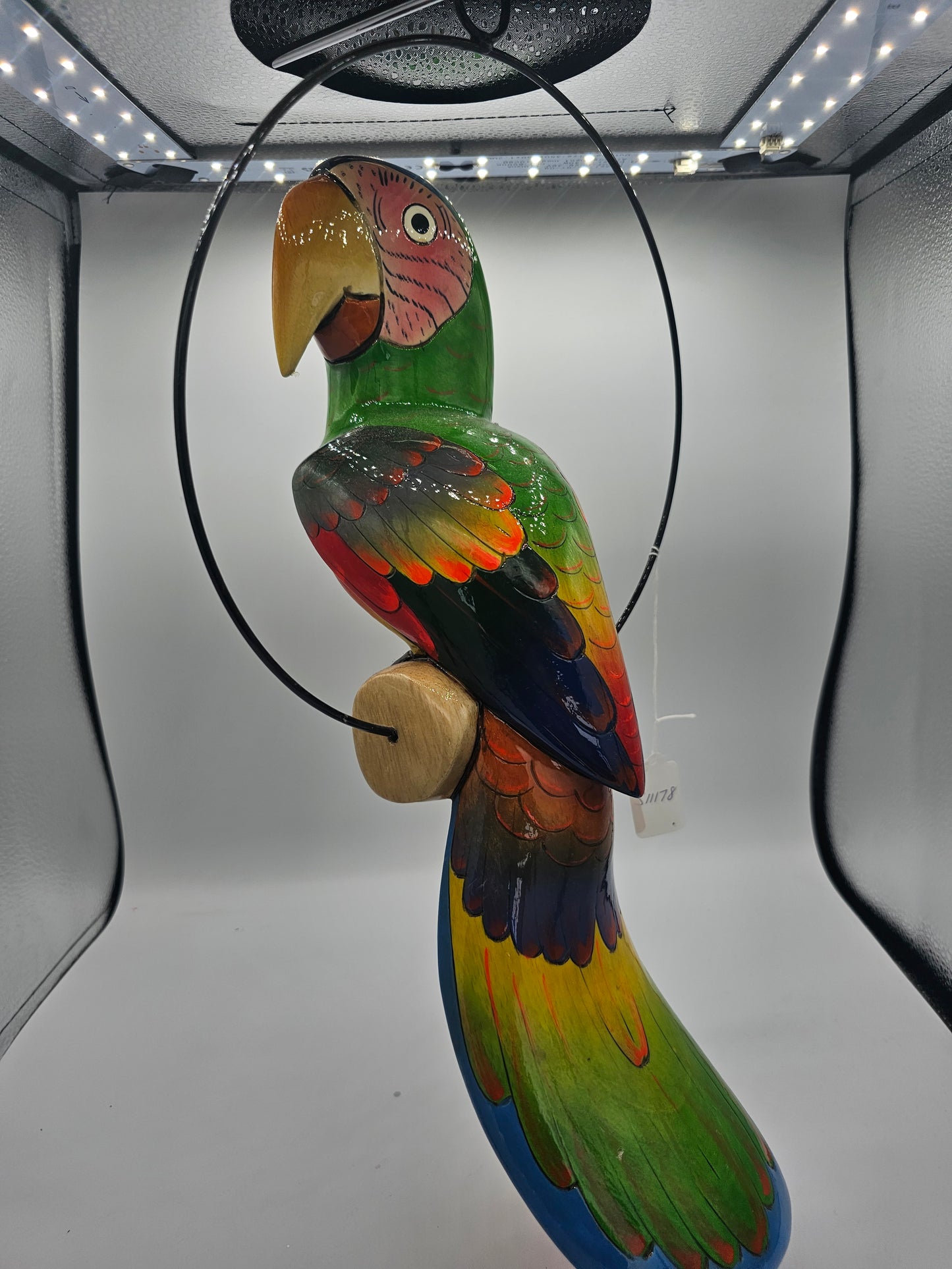 17" Swinging Parrot