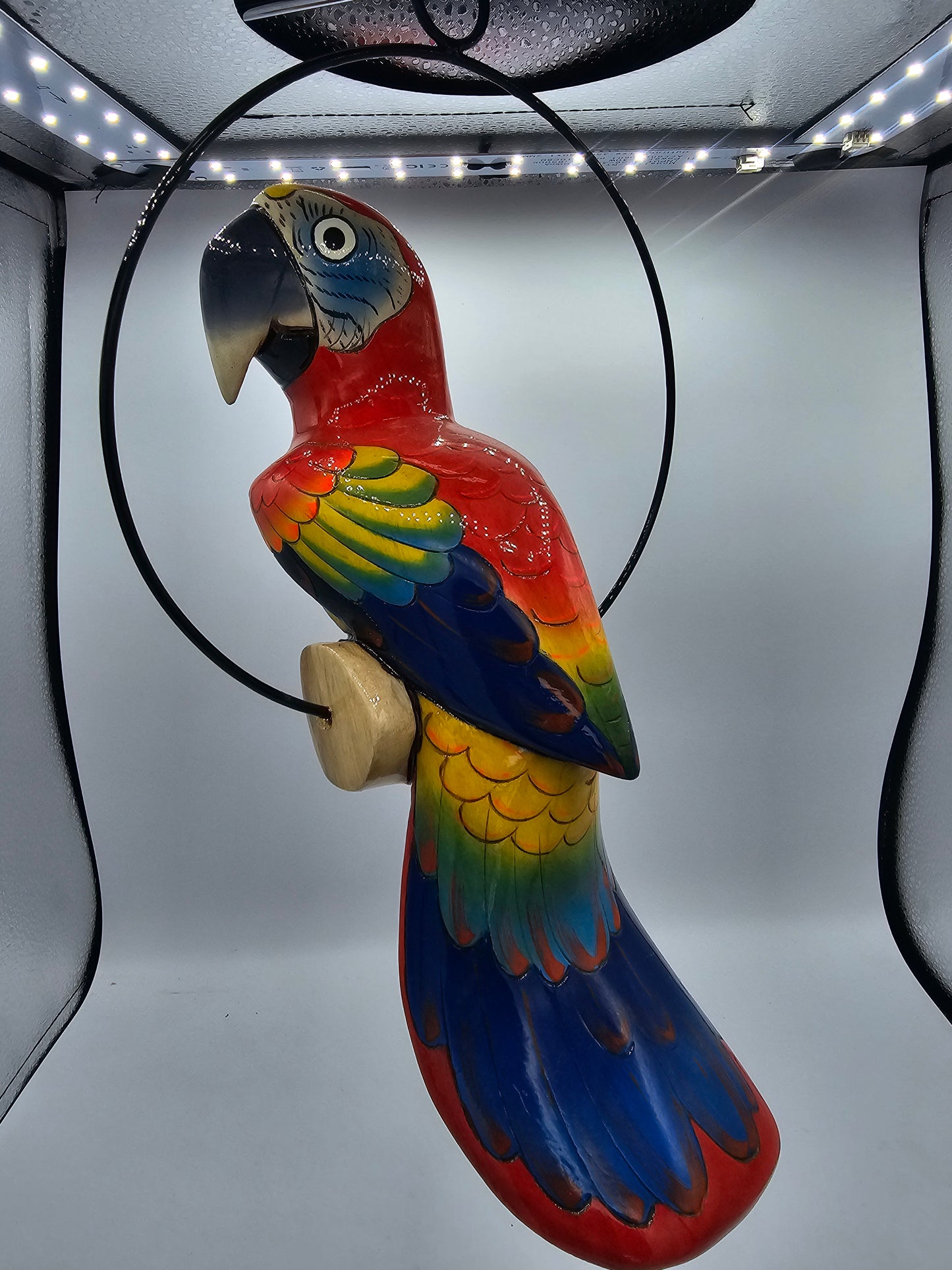 17" Swinging Parrot