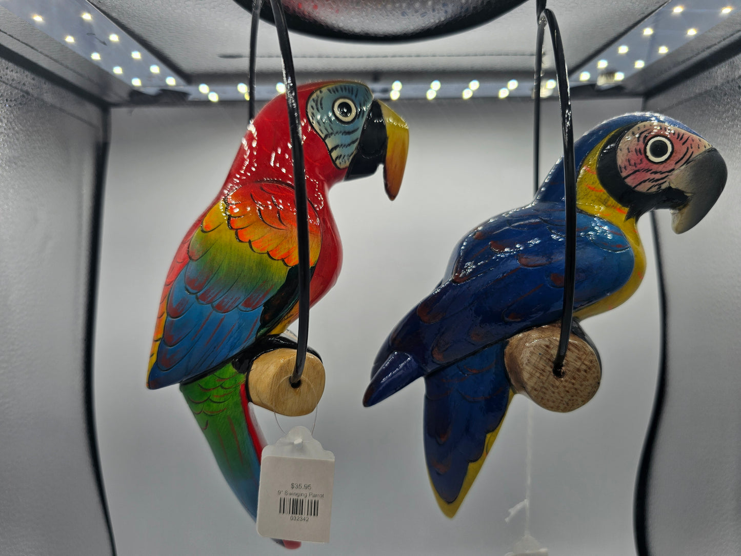 6" Swinging Parrot