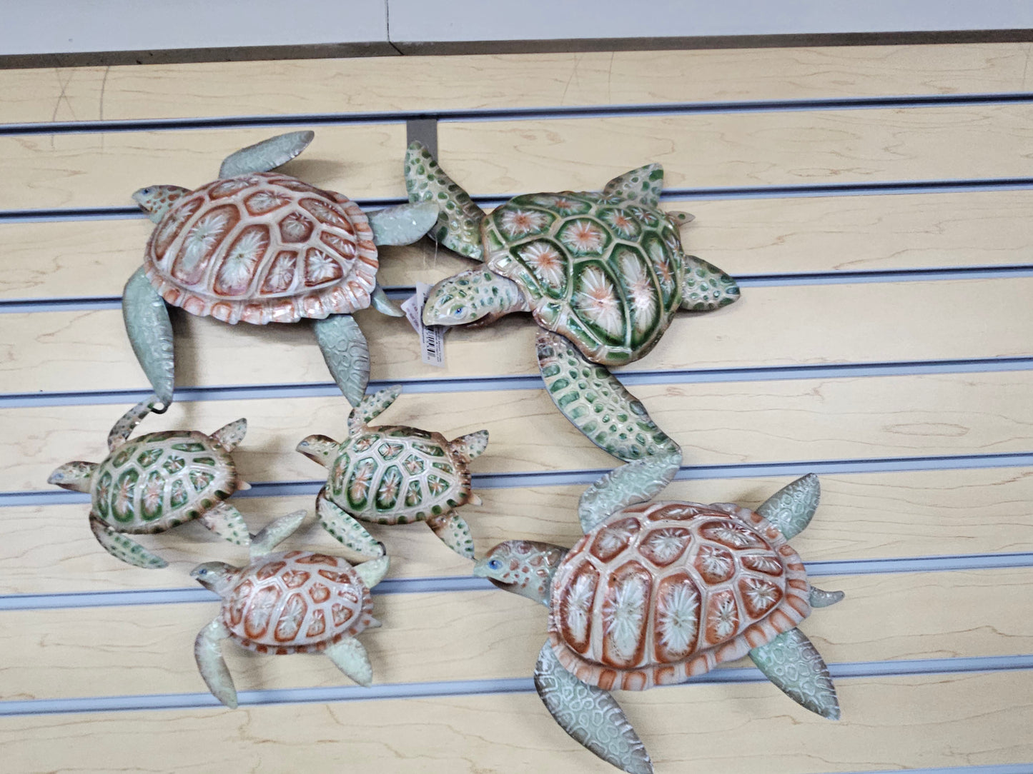 Bale of Mixed Turtles