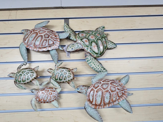 Bale of Mixed Turtles