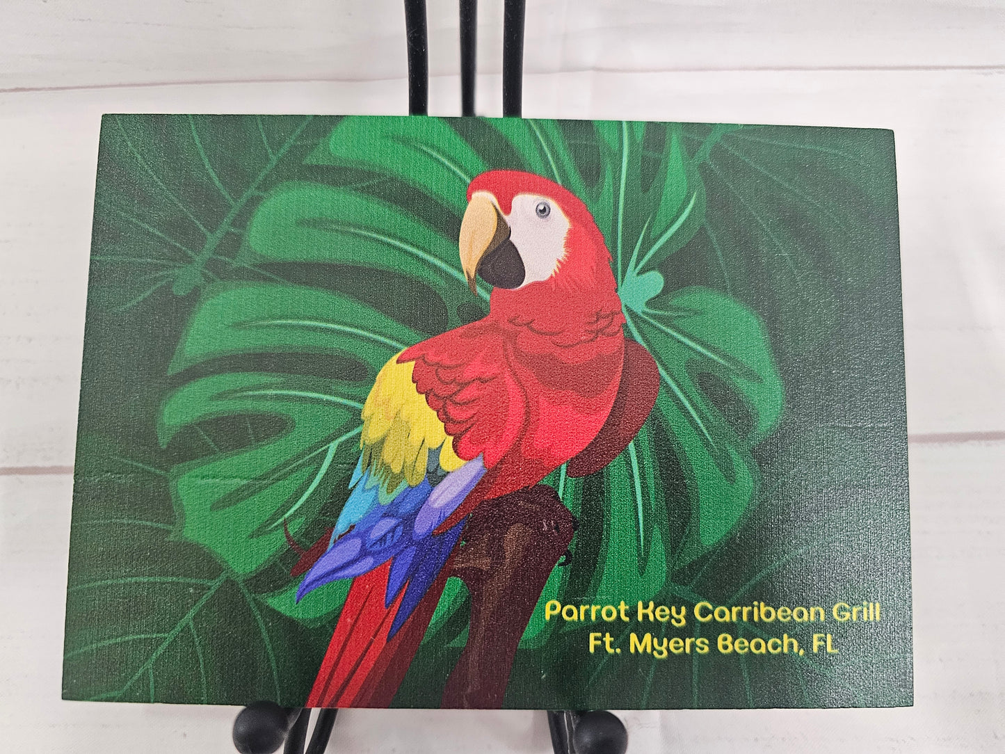 Macaw Bamboo Postcard