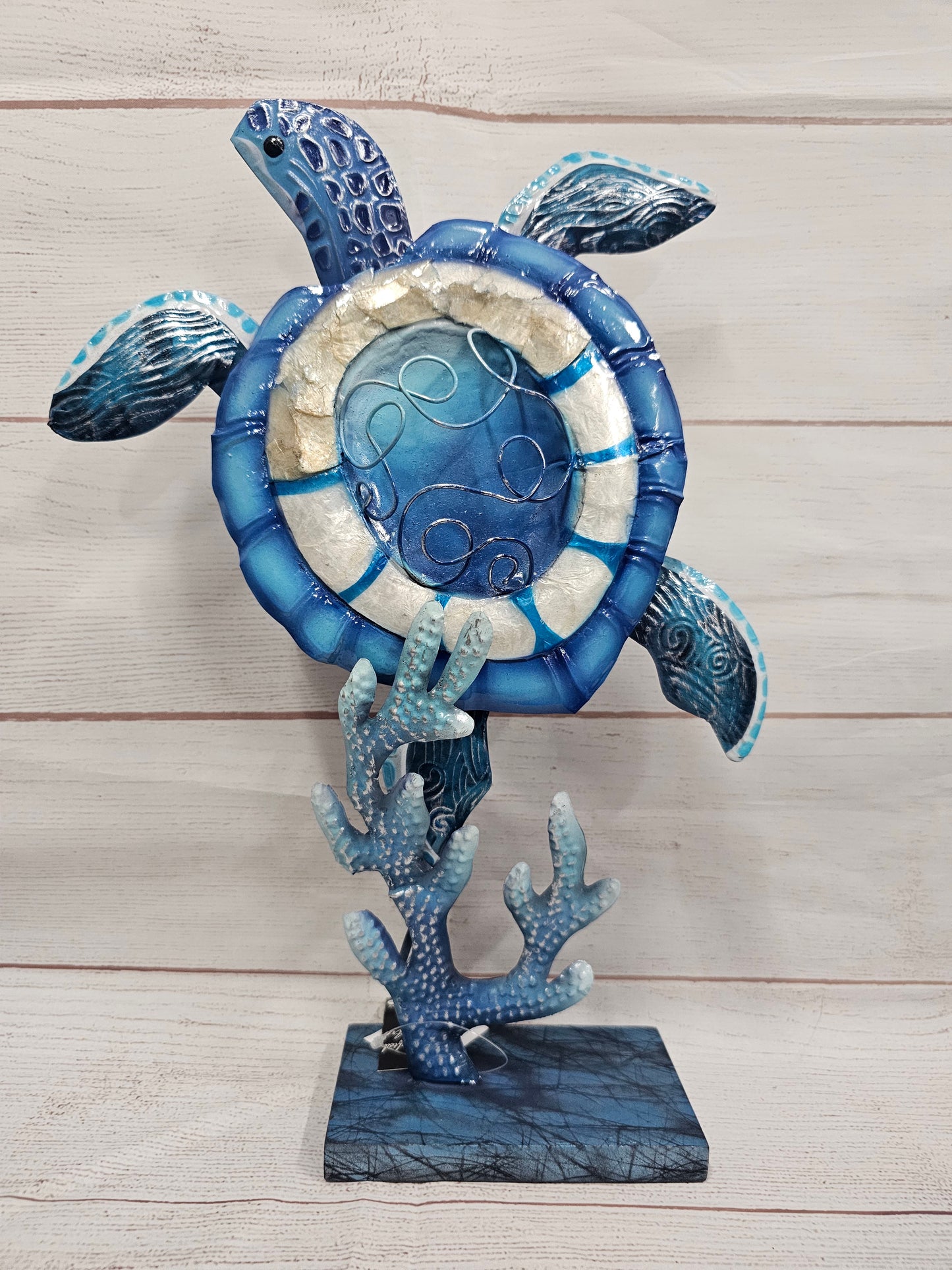 Blue & White Turtle