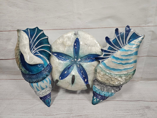 Shells & Sand Dollar Decor