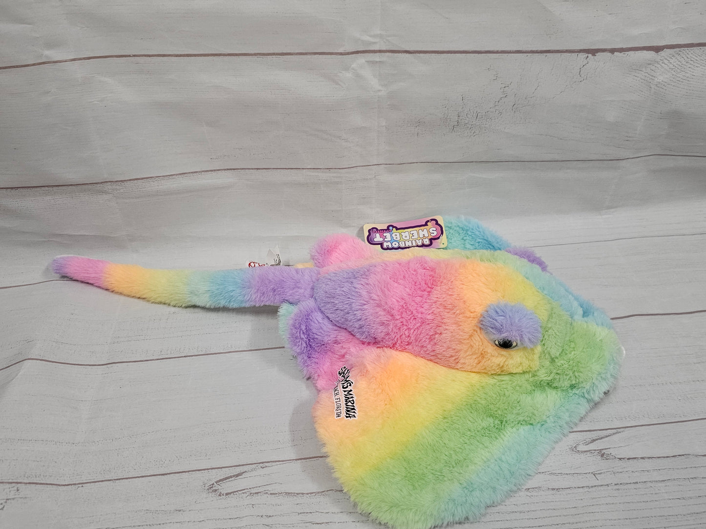 Rainbow Sherbet Stingray