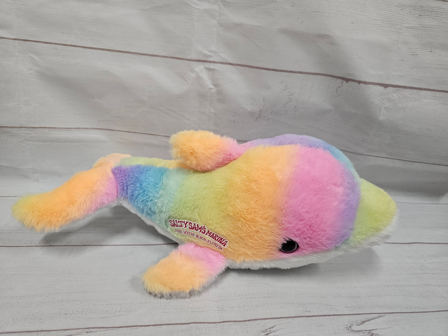 Rainbow Dolphin