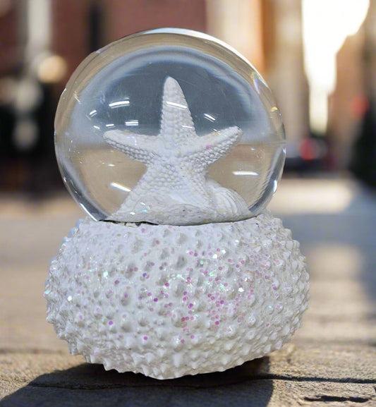 Starfish SnoGlobe