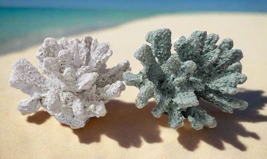 SM RSN Coral Bunch