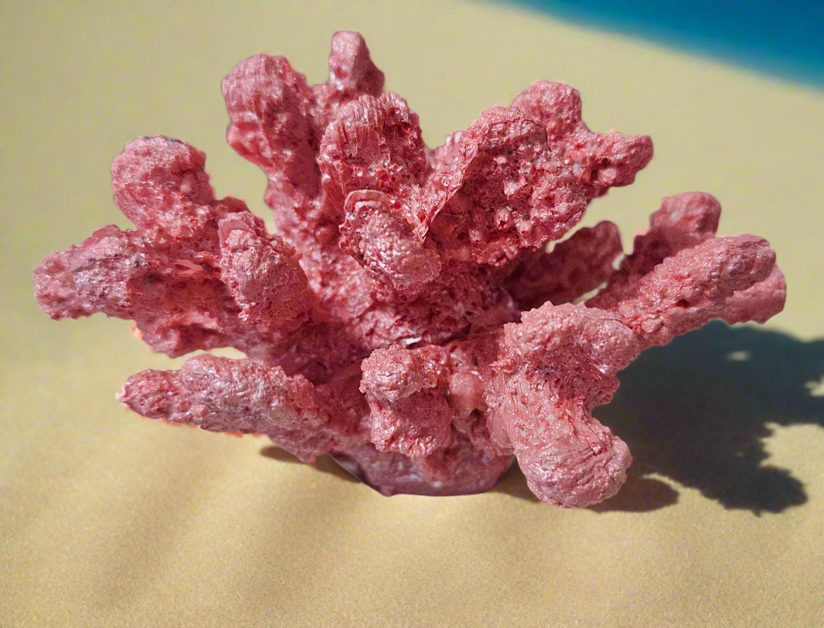 SM RSN Coral Bunch