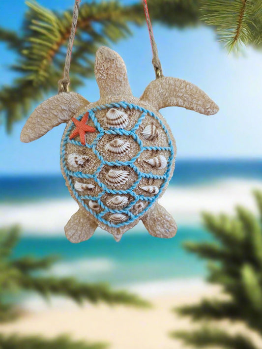 RSN sand Seaturtle ORN