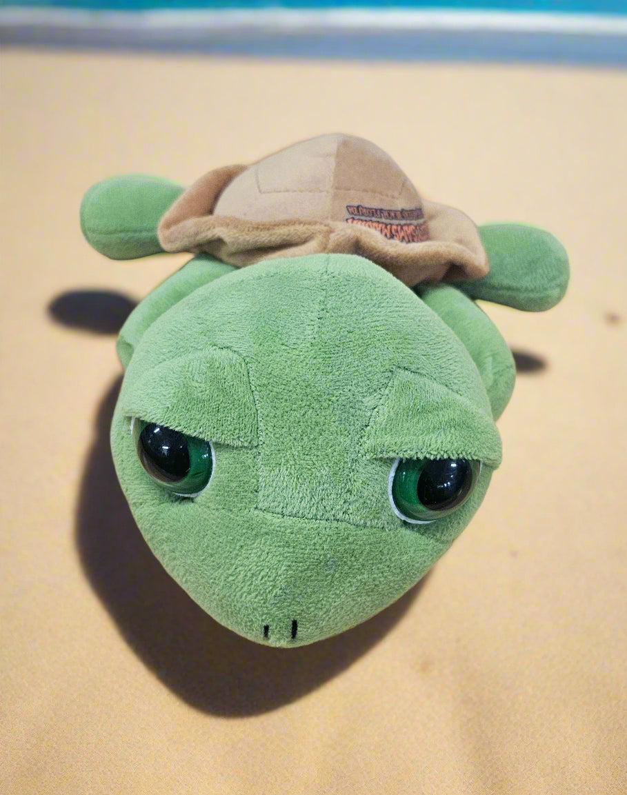 Big Eyed Turtle