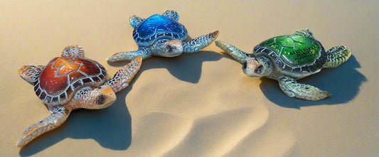 Baby/Turtle 3"