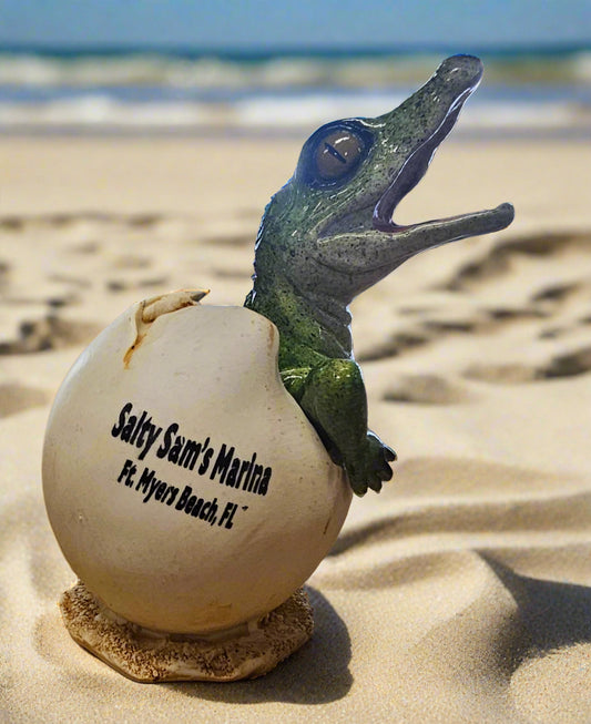 Alligator Hatching
