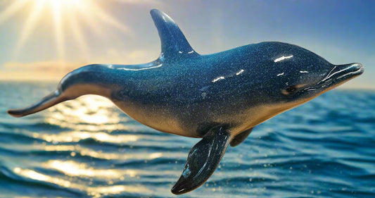 19" Dolphin