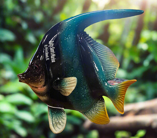 Large Blue Fish