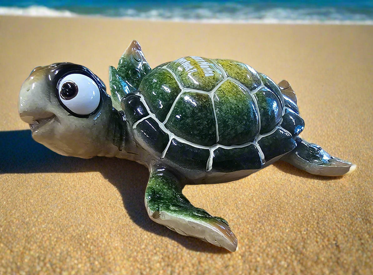 5" Turtle W/ Eyes