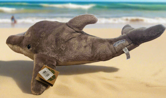 Wild One Dolphin