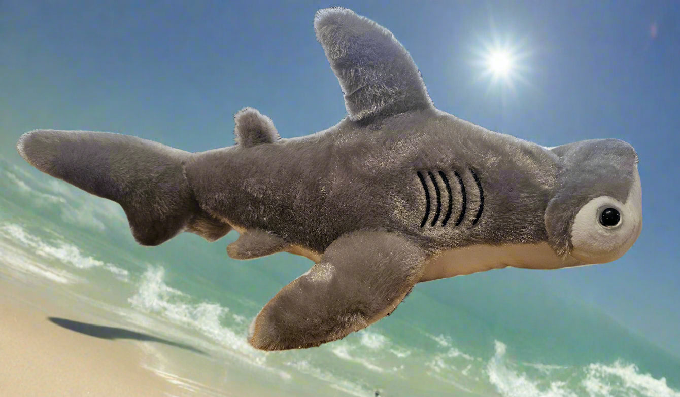 Hammerhead Shark