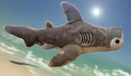 Hammerhead Shark
