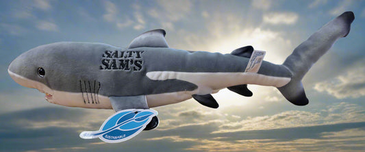 Blacktip Reef Shark