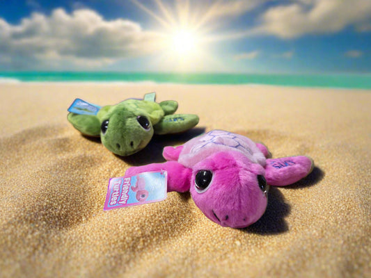 Frd'ly Turtle