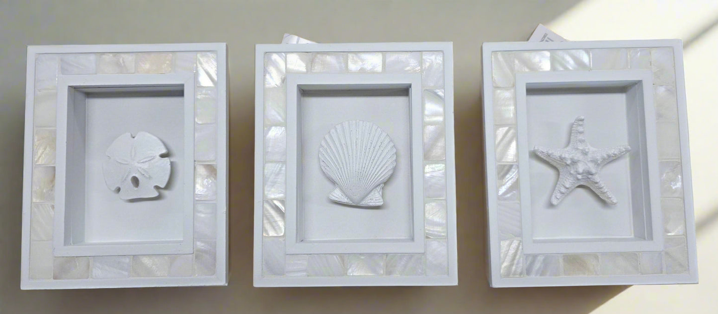 3D Shell Shawdow Box