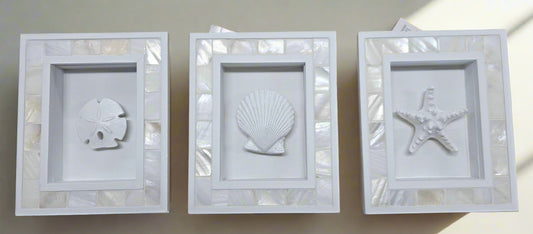 3D Shell Shawdow Box