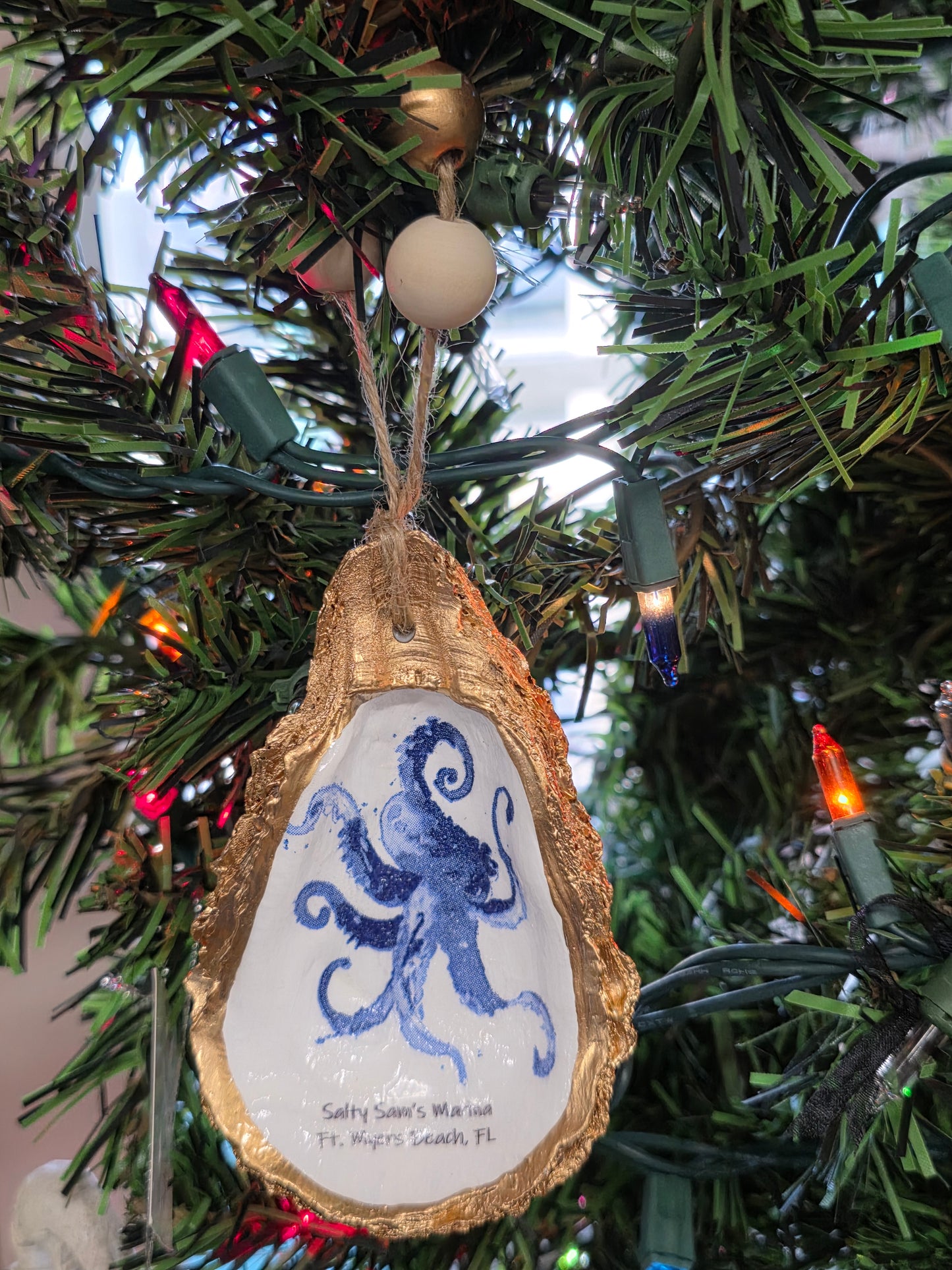 Sea Life Oyster Shells