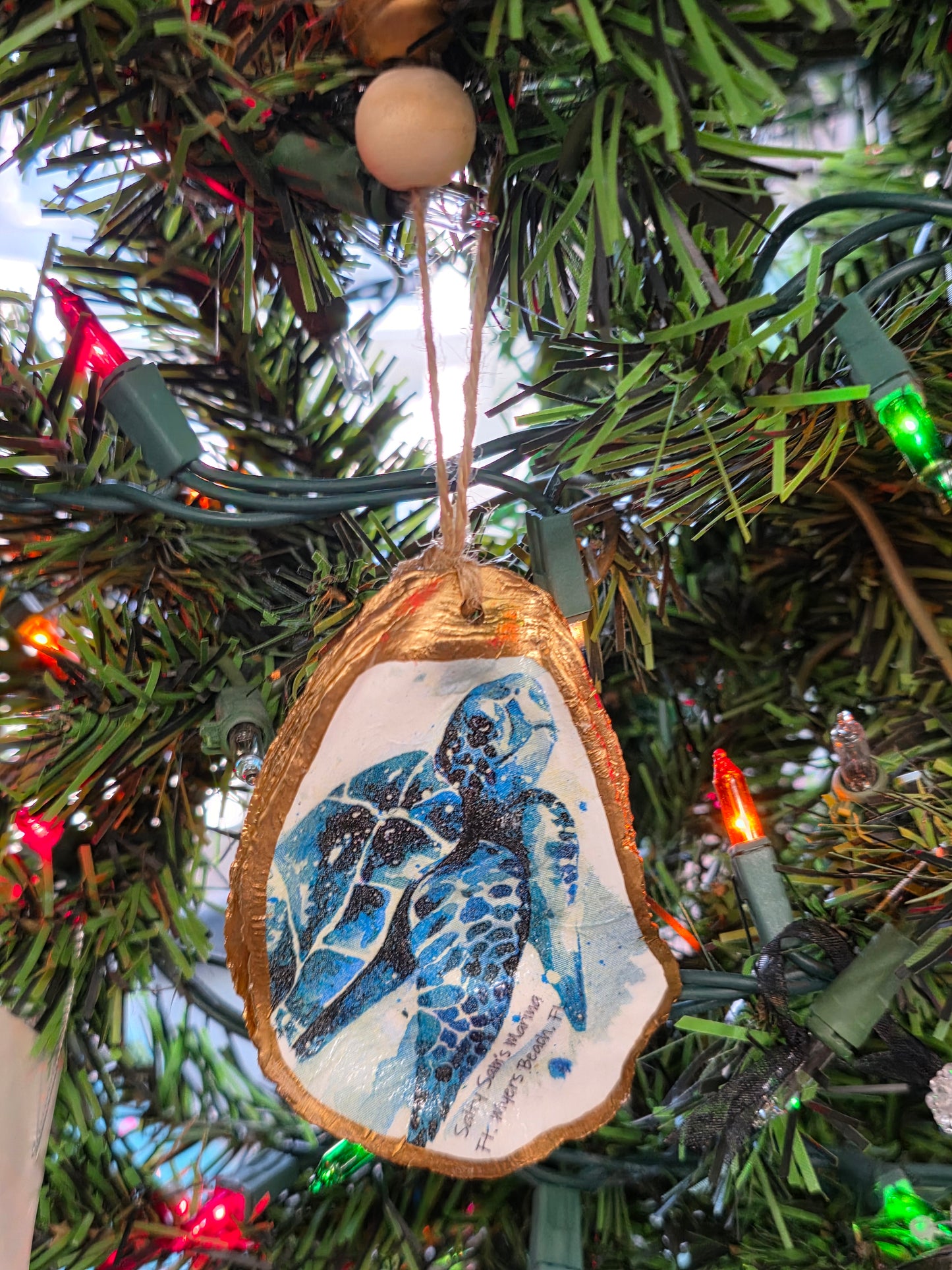 Sea Life Oyster Shells