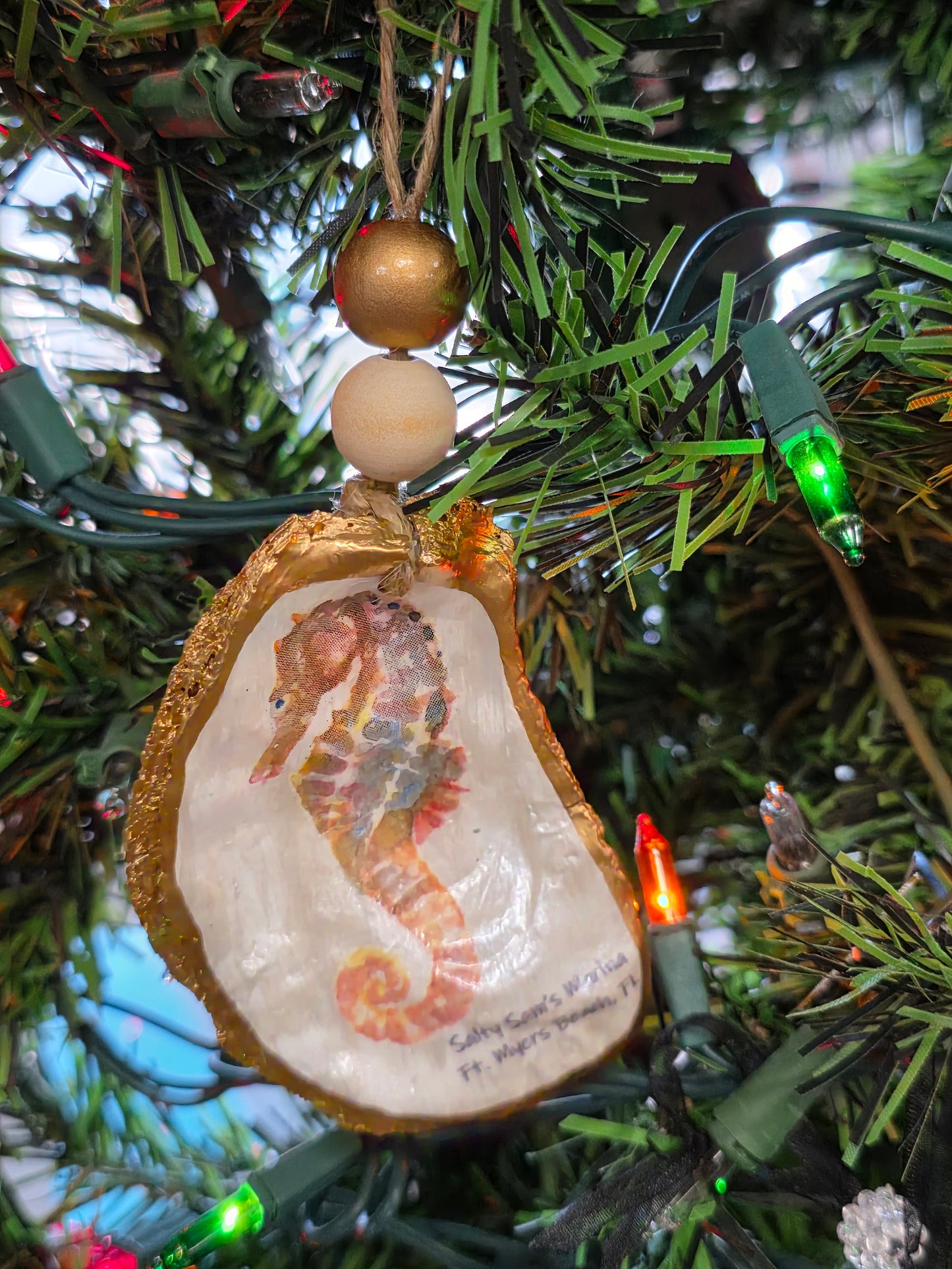 Sea Life Oyster Shells