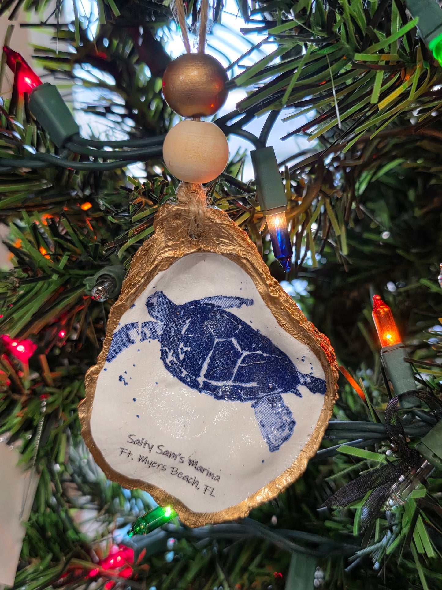 Sea Life Oyster Shells