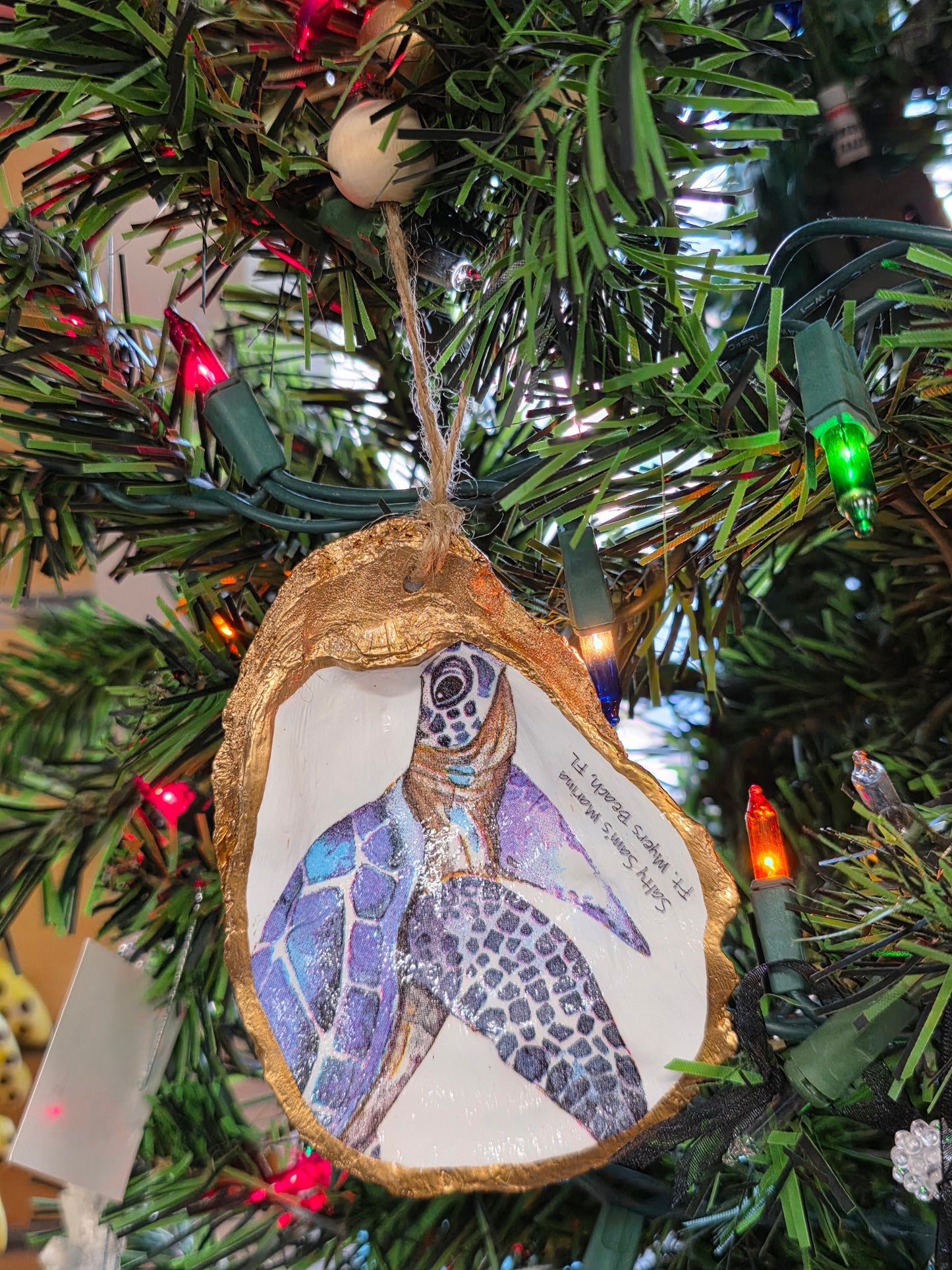 Sea Life Oyster Shells