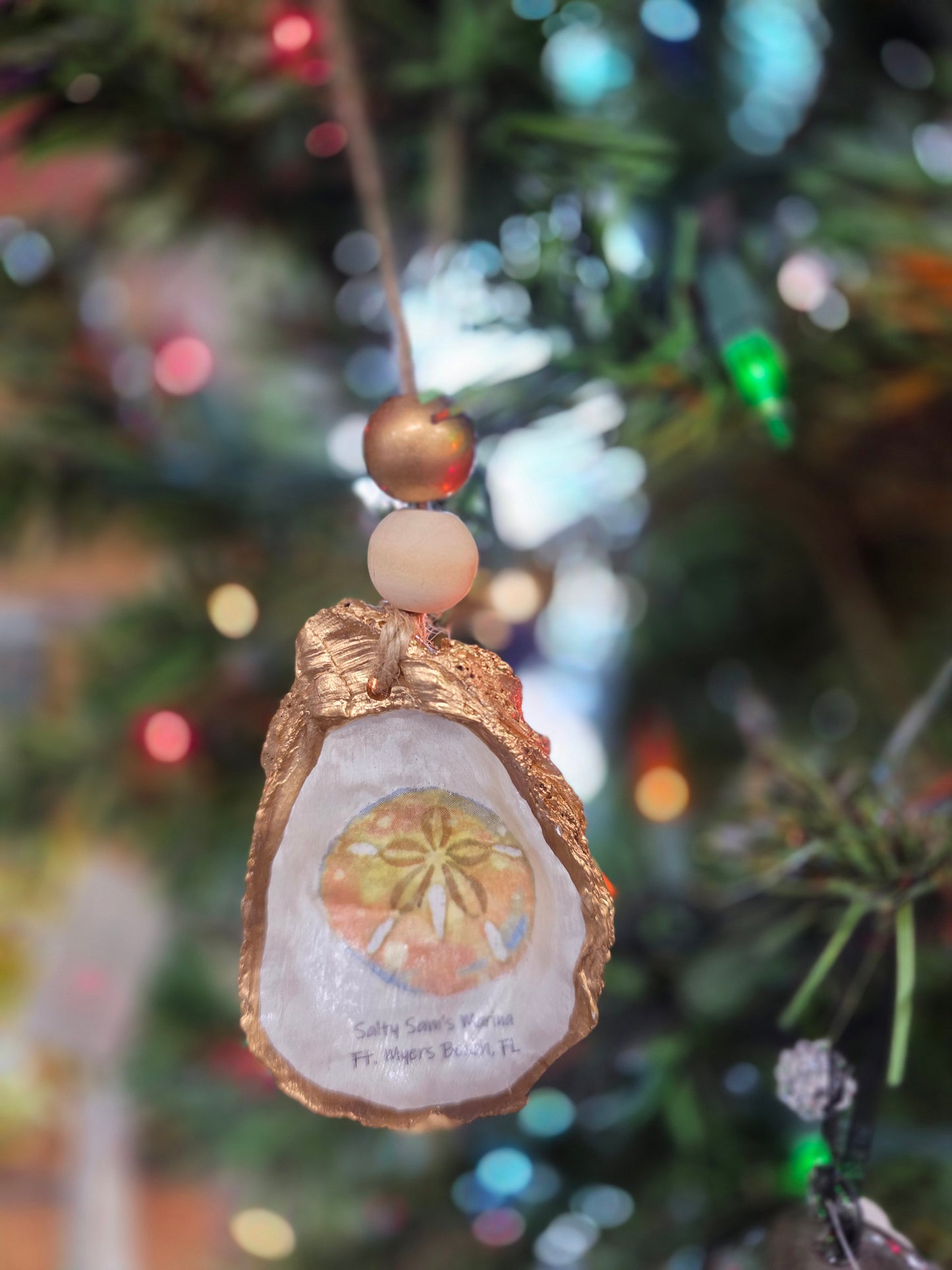 Sea Life Oyster Shells